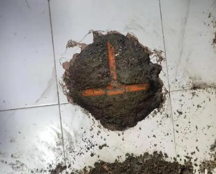 桃山查漏水多少钱