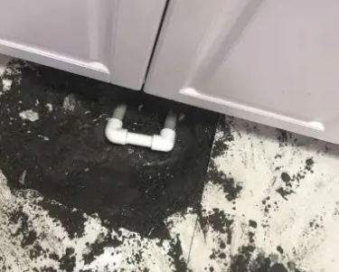 桃山查漏水哪家好